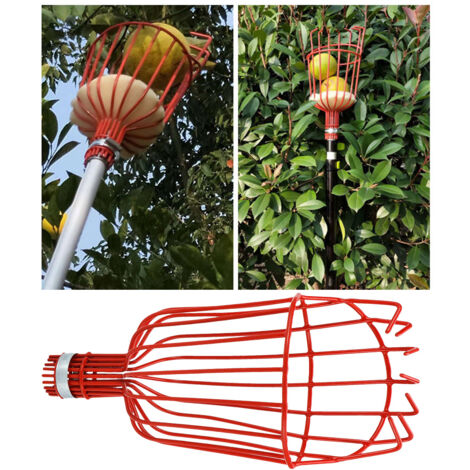 Ramasse-Fruits Jardin Grande Capacité Cage Étendue Outil de Récolte Facile -KZQ