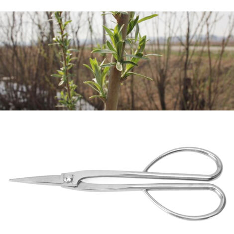 Ciseaux à Boutures en Acier Inoxydable 220mm pour Jardinage et Bonsaï - Outil de Taille Précis pour Jeunes Pousses et Branches - Argent - Notez les Préférences de Personnalisation-KZQ