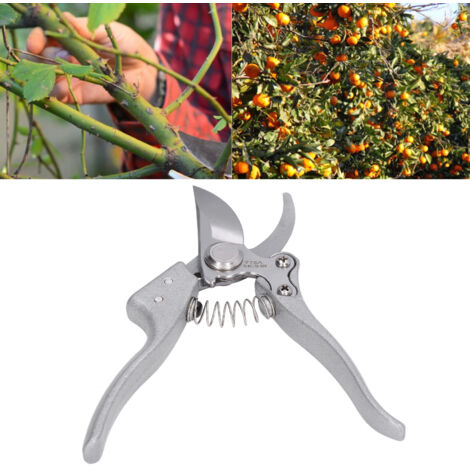 Ciseaux de Jardin Professionnels pour Élagage et Taille, Outils de Jardinage Faciles à Utiliser - KZQ