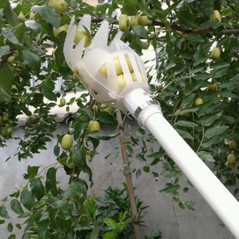 Récupérateur de Fruits Blanc Pratique pour Jardin - KZQ (1/5)