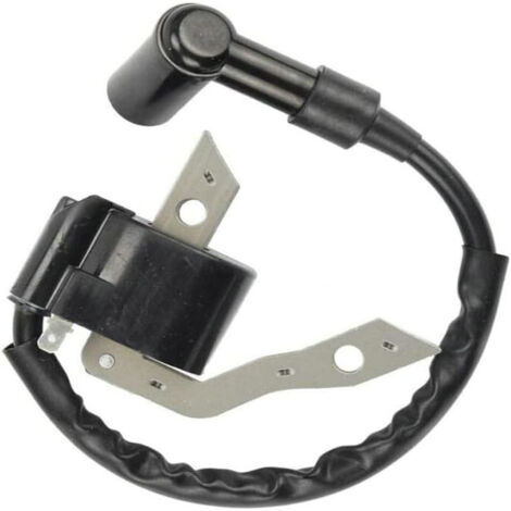 Bobine D'allumage Haute Tension Compatible EX30 EX27 279-79430-01 - AUTRES (1/3)