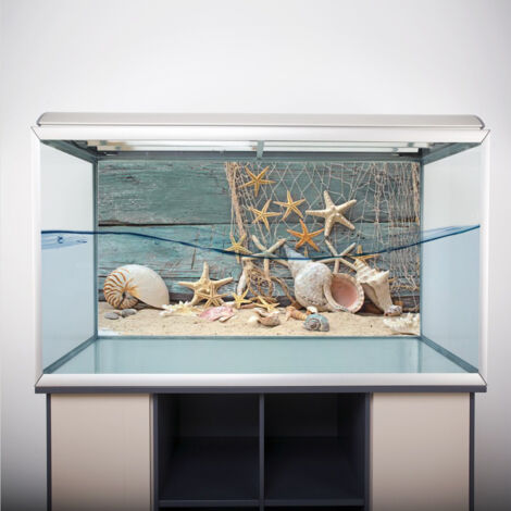 Papier Peint Aquarium Fond Marin PVC Autocollant Étoile de Mer Coquillage Décoration 61x41cm - AUTRES (1/5)