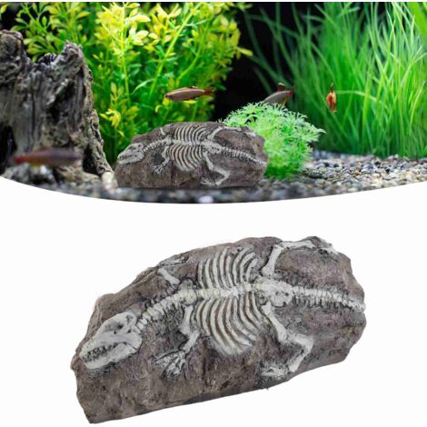 Dinosaure Fossile Décoration pour Aquarium et Terrarium Réplique Réaliste d'Animal Préhistorique - AUTRES (1/5)