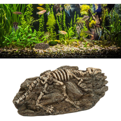 Dinosaure Fossile Décoration pour Aquarium Terrarium Réplique Réaliste Ornements - AUTRES (1/5)