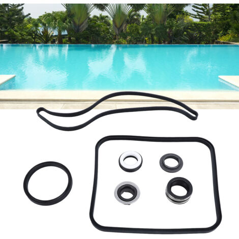 Kit de Joint Torique de Remplacement pour Pompe de Piscine SPX1600TRA Composants de Joint et Kit de Pompe (1/5)