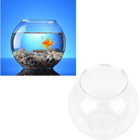 Aquaterrarium Moderne en Plastique pour Poissons - Idéal pour Décoration Intérieure