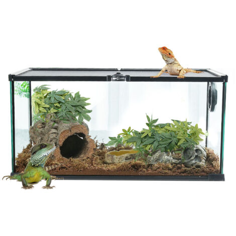 Aquarium Artificiel Plantes et Lianes pour Décoration de Terrarium - Feuilles d'Ipomea (50cm) (1/5)