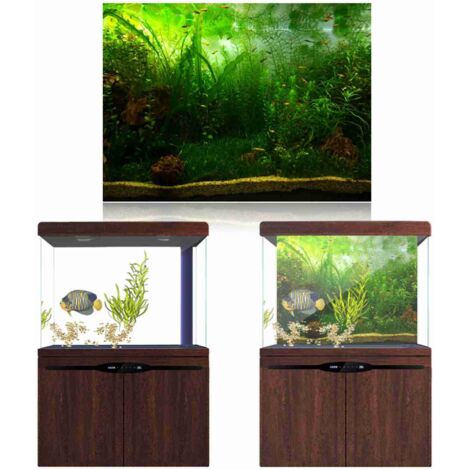 Panneau Décoratif en PVC Épais pour Aquarium avec Motif de Plantes Aquatiques 91x41cm