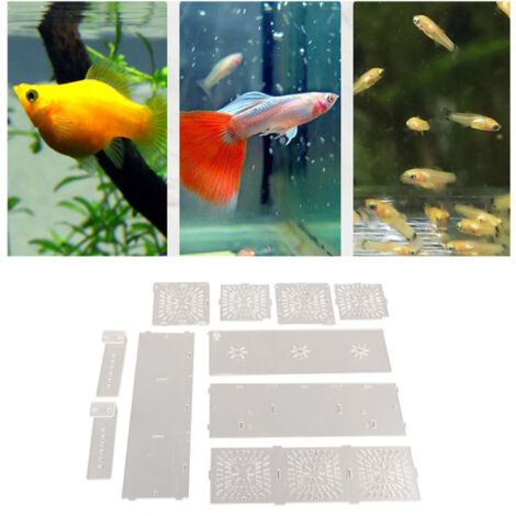 Boîtier d'Isolation pour Aquarium Transparent pour Poissons Malades et Incubation avec Paroi Intérieure 30x10x10 cm (1/5)