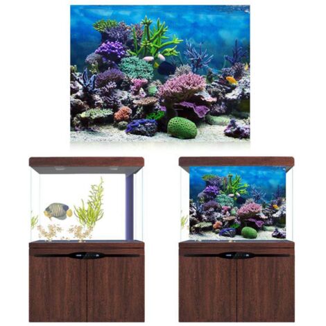 Panneau de Fond d'Aquarium en PVC Épais pour Décoration Corail Marin 122x61cm (1/5)