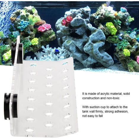 Support de Branche Corail SPS Courbé avec Aimant Fort pour Aquarium 23 Emplacements-AUTRES (1/5)
