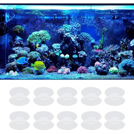 Accessoires Aquarium Ventouses Double Face Lot de 10-AUTRES (1/5)