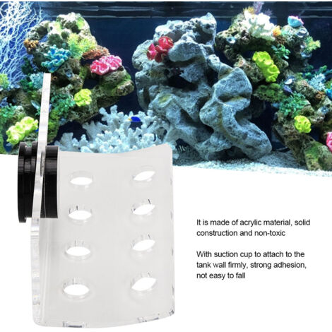 Support de Branche Corail SPS avec Magnétisme Fort pour Aquarium Courbé 8 Fentes-AUTRES (1/5)