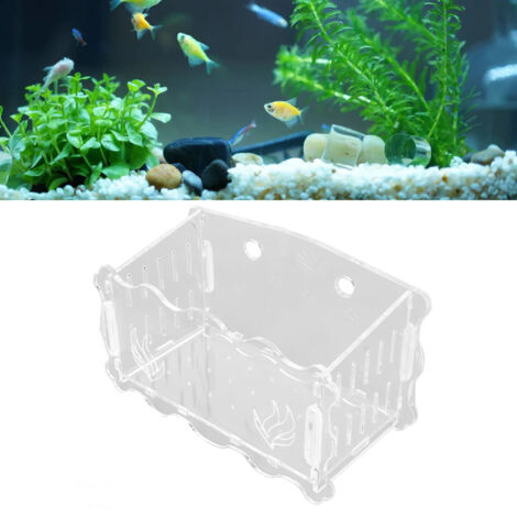 Support De Culture Pour Plantes Aquatiques Taille Moyenne Avec Ventouse - Idéal Pour L'Aquascaping Et La Décoration Des Aquariums-AUTRES (1/5)