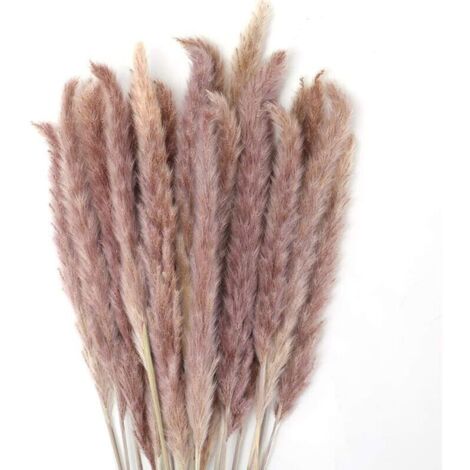 30 Pcs Herbe Pampa Naturelle, 60cm Bouquet Fleurs Séchées pour Vase, Décoration Boho Chambre Salon Mariage Photographie