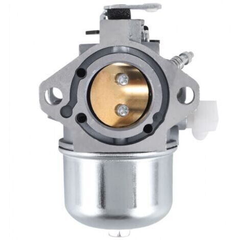Pièces de moteur tondeuse à gazon compatible 694941 699831 28M707 28R707 28T707 28V707 (1/5)