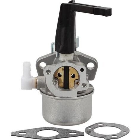 Carburateur universel pour moteur à essence, compatible 696065/697422, pièce de rechange 110412-0211-E1