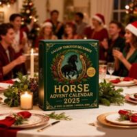 Calendrier De L’Avent Cheval 2025 – 24 Jours, Figurines Acrylique 2D, Décoration Murale Noël, Pour Amateurs équitation