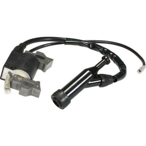 [JAMAIS UTILISÉ] Module De Bobine D'Allumage Pour Honda Gx110 Gx120 Gx140 Gx160 Gx200 (1/5)