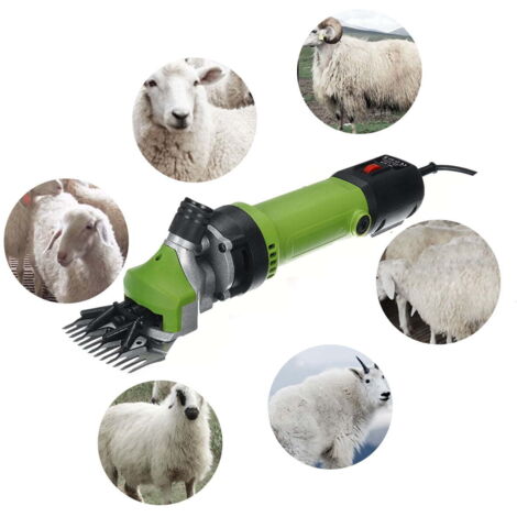 Tondeuse électrique professionnelle pour mouton et cheval, 690W