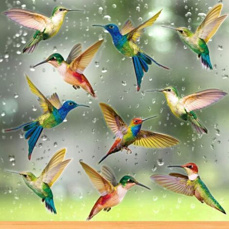 Relaxdays Sticker fenêtre en lot de 9, anti-collision oiseaux, pour
