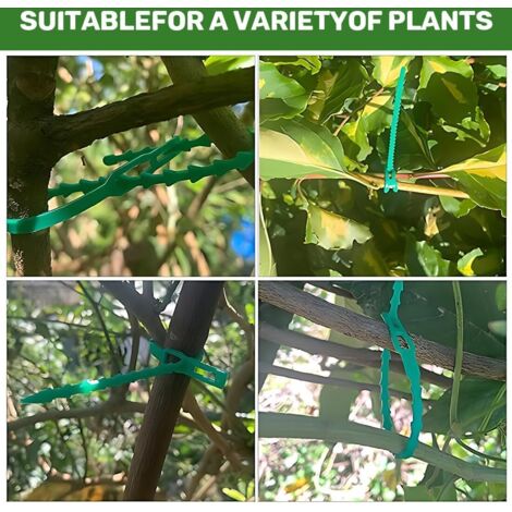 Tuteurs En Fibre De Verre - 6 Pièces Pour Plantes Grimpantes, Tomates, Orchidées Et Fleurs