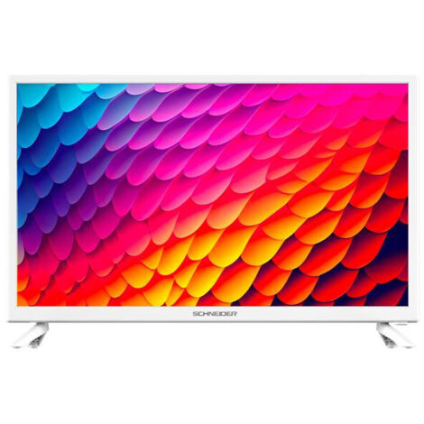 SERIE N100 TV D-LED 2K Plongez dans un monde de divertissement immers SCHNEIDER - GMS24N100W