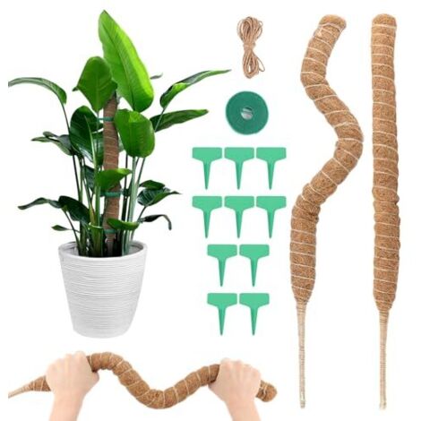 [NIE BENUTZT]Monstera-Stab, 2 Stück 70 cm Kletterpflanzenstab mit Zubehör, faltbarer Monstera-Stab, Pflanzenstütze, Kokosnussstab, Kletterpflanzenstütze für Gartenpflanzen und Töpfe (1/5)
