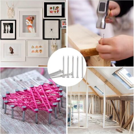 560 Stück Nägel Set - 6 Größen Stahlnägel Mit Aufbewahrungsbox Für Bilder & Heimwerken