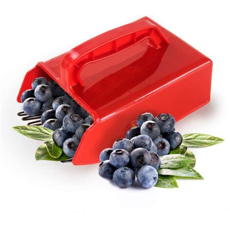 [MAI USATO]Raccoglitore di mirtilli con manico  Raccoglitori e rastrelli con pettine  Manico ergonomico per la raccolta di frutta e mirtilli per pettine a gallo, trifoglio, pettine per la raccolta di  (1/5)