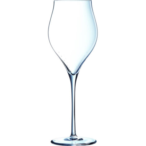 Exaltation - 6 flûtes à champagne 35cl