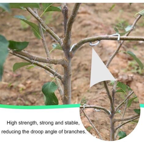 Lot De 30 Supports De Branches D'Arbres Fruitiers En Métal - Écarteurs De Branches Pour Pommiers Et Arbres Fruitiers