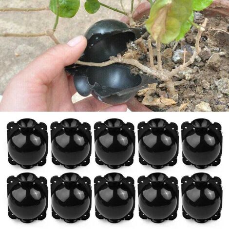 10 boules d'enracinement pour plantes - Boîte de greffe de jardin - Boîte d'enracinement pour semis - Boules de semis - 5 cm, Noir
