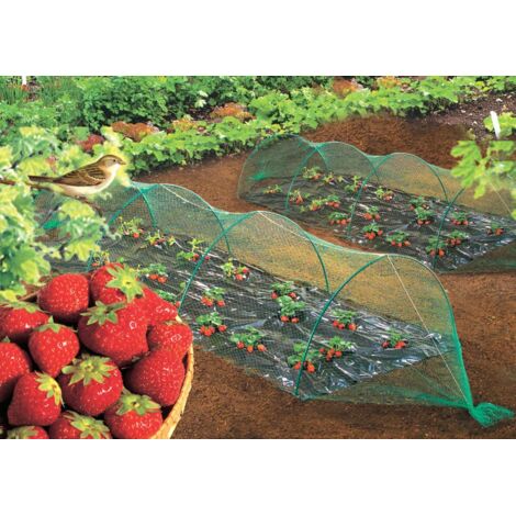 Birdnet Vogelschutznetz - 2 x 10 m - Grün Nortene