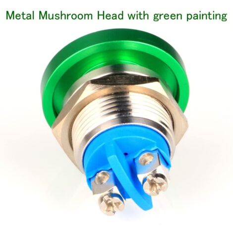 Interruttore A Pulsante Momentaneo Con LED, 12V, In Metallo