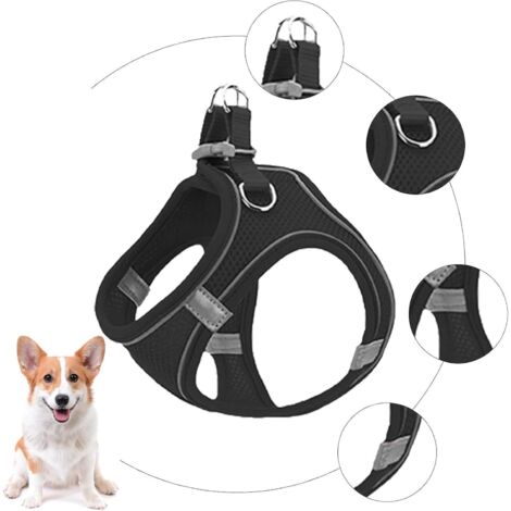 Arnés Perro Pequeño Arnés Y Correa Ajustable Para Gato O Perro Pequeño - Chaleco De Malla, Acolchado, Antiescape Chaleco Malla Perro Gato Antiescape Correa Paseo