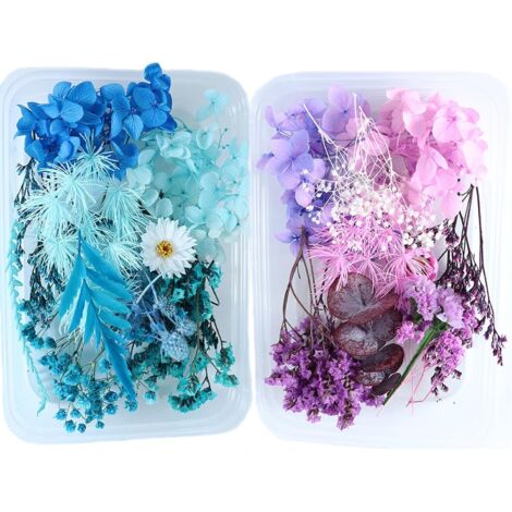 Flores secas, juego de 2 flores secas naturales, flores secas para decoración del hogar y manualidades, flores secas pequeñas para decoración con resina epoxi. (1/5)