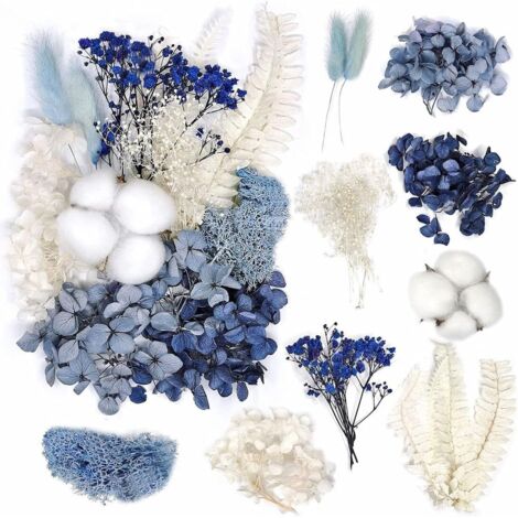 Ramo de flores secas naturales, flores secas, decoración, flores secas a granel, ramo de decoración navideña (azul y negro)