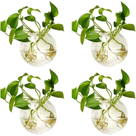 maceteros colgantes de cristal de 10 cm de diámetro, redondos, para agua, flores, terrarios y contenedores. (1/5)