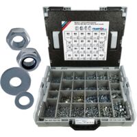 FRANTOS L-BOXX 6590 tlg. Muttern & Scheiben Sortiment (Stahl verzinkt)