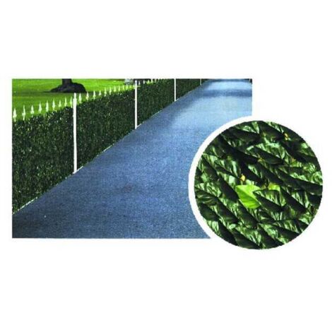 Seto Lauro h 100 m 3 Ilcampo 00029