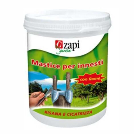 Yes, I can help with that.

The translated product title from Italian to Spanish is:

"Yeso de injerto G 500 Zapi"
