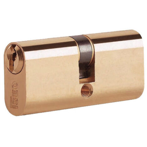 Cilindro ovalado ISEO 83002733H – 60 mm (27+33) – latón con 5 pernos – para cerraduras de perfilados