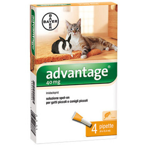 Advantage spot-on para gatos hasta 4 kg – 4 pipetas – Tratamiento eficaz contra pulgas