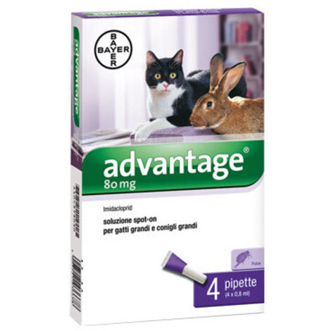 Advantage spot-on para gatos de más de 4 kg – 4 pipetas – Protección contra pulgas prolongada