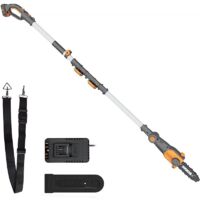 Podadora de pértiga WORX WG349E de 20 V a batería, barra de 20 cm, batería de 2 Ah, para podar en altura.