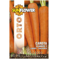 Semillas de Zanahoria Flakkee 2 Girasol
