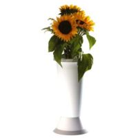 Vaso con flores Jolly con base blanca de 14 cm de diámetro y 35 cm de altura