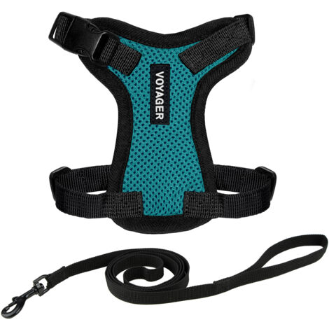 Voyager Step-in Lock Katzengeschirr und reflektierende Katzenleine mit Neoprengriff by Best Pet Supplies - Unterstützt kleine, mittelgroße und große Katzenrassen, Türkis / Scharzwer Rand, size XXS - 1