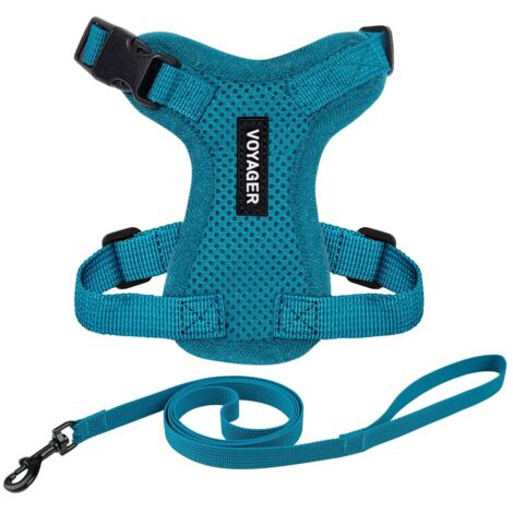 Voyager Step-in Lock Katzengeschirr und reflektierende Katzenleine mit Neoprengriff by Best Pet Supplies - Unterstützt kleine, mittelgroße und große Katzenrassen, Türkis, size XXXS - 1,5 m
